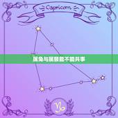 属兔与属猴能不能共事，属兔与属猴能不能一起工作