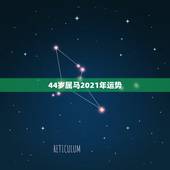 44岁属马2021年运势，属马2021年运势及运程详解