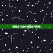 属相虎和虎的婚配如何财运，属相虎与虎相配吗？