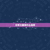 日本土猫是什么品种，日本明星猫有哪些？还有他们的品种。
