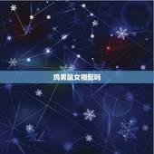 鸡男鼠女相配吗，男鼠女鸡婚姻能不能过一辈子