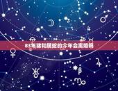 83年猪和属蛇的今年会离婚吗，属蛇的和属猪的在一起会怎样