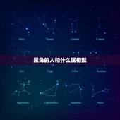 属兔的人和什么属相配，属兔的人和什么生肖最合