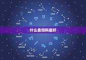 什么鱼饲料最好，金龙鱼喂什么饲料最好