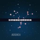 生肖狗最佳组合婚配属相是谁，属狗的最佳配偶生肖是？