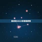 属虎的2022年婚姻感情，1974年属虎女婚姻感情
