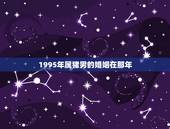 1995年属猪男的婚姻在那年，95年属猪的女生婚姻