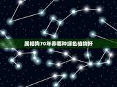 属相狗70年养哪种绿色植物好，属狗的适合养什么花