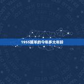 1955属羊的今年多大年龄，62年属虎的今年多大