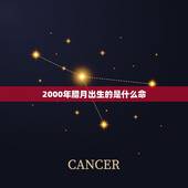 2000年腊月出生的是什么命，2000年出生的是什么命