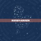 属鼠和属牛结婚忌属相，属牛和属鼠的人结婚，都记什么属相