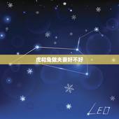 虎和兔做夫妻好不好，虎和兔合伙做生意怎么样