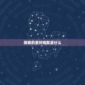 属猴的更好婚配是什么，猴子属相和什么最配偶