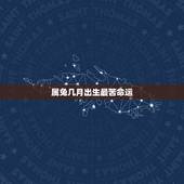 属兔几月出生最苦命运，属兔的命最苦是哪一个月