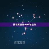 属马男运势2019年运势，2002年属马的人2019运程