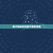 兔子咕咕的叫是不是有毛病，兔子咕咕叫围着脚转圈