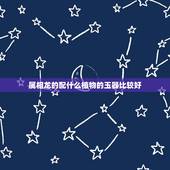 属相龙的配什么植物的玉器比较好，生肖龙佩戴什么图案的玉好