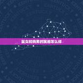 鼠女和狗男的属相怎么样，女的狗男的属老鼠相配好不好