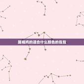 属相鸡的适合什么颜色的包包，属鸡买钱包适合什么颜色