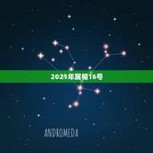 2021年属相16号，2021年十二生肖排码表