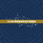 九七年牛男和零零年龙女可婚配吗，属牛男与属龙女相配合适吗？