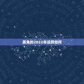 属兔的2022年运势如何，2021年属兔人的全年运势如何？