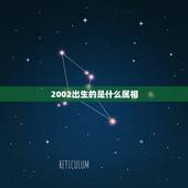 2002出生的是什么属相，我是2002年出生的是什么生肖什么星座的
