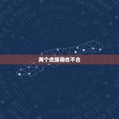 两个虎属相合不合，属虎和属虎打几分
