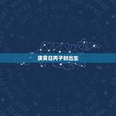 庚寅日丙子时出生，丙午日庚寅时