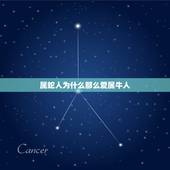 属蛇人为什么那么爱属牛人，属牛与属蛇合作伙伴