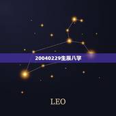 20040229生辰八字，什么是生辰八字？