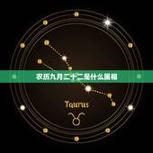 农历九月二十二是什么属相，农历1986年九月二十二是属什么星座