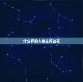 什么样的人会去养兰花，什么样的人喜欢养兰花？