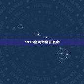 1993金鸡命是什么命，1993年属鸡男婚姻