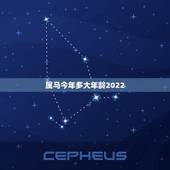 属马今年多大年龄2022，属马2022 年多大