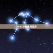 2022年的生肖运势，2022年属猪人的全年运势