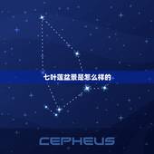 七叶莲盆景是怎么样的，农村俗称“七叶莲”的植物，有什么功效和作用呢？