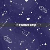 十二生肖属相婚姻配对，十二生肖更佳婚配大全