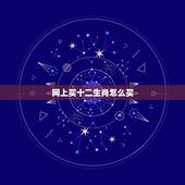 网上买十二生肖怎么买，怎么买十二生肖彩票，买这个有什么规律么？现在是开