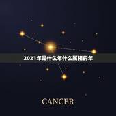 2021年是什么年什么属相的年，2021是什么年属什么年