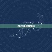 2023年是金兔吗，75年属兔是什么命