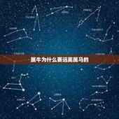 属牛为什么要远离属马的，属牛和属马的合吗