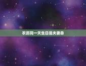 农历同一天生日是夫妻命，同一天生日是夫妻命