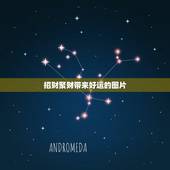 招财聚财带来好运的图片，什么样的微信图片会带来好运