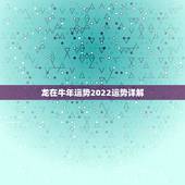 龙在牛年运势2022运势详解，2022属龙的全年运势