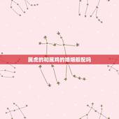 属虎的和属鸡的婚姻般配吗 女虎男鸡是结婚的大忌
