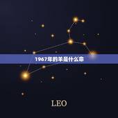 1967年的羊是什么命，五行相生相克