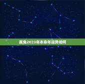 属兔2023年本命年运势如何，属兔2023年本命年运势如何呢