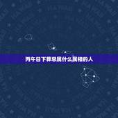 丙午日下葬忌属什么属相的人，下葬的时候需要相应的属相的人撑红布，是有什