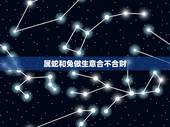 属蛇和兔做生意合不合财，兔女和龙女合作好不好生意